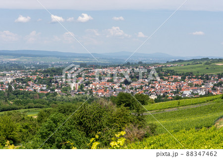 Ingelheim, Rhein, Germany during summertime Ingelheim, Rhein, Germany during summertime 88347462