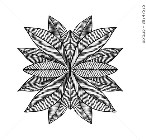 Vector hand drawn flower. Floral design element Vector hand drawn flower. Floral design element 88347525
