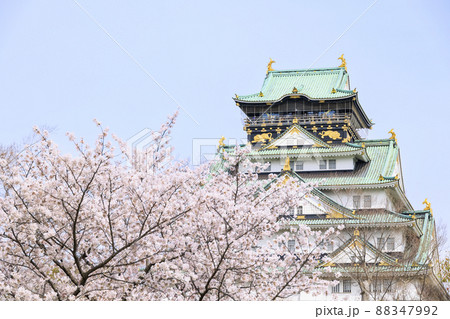 大阪城公園　満開の桜と大阪城 88347992