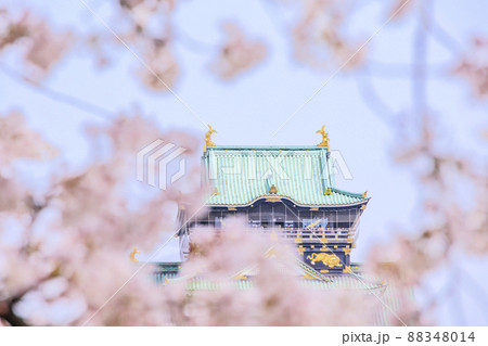 大阪城公園 満開の桜と大阪城 大阪城公園 満開の桜と大阪城 88348014