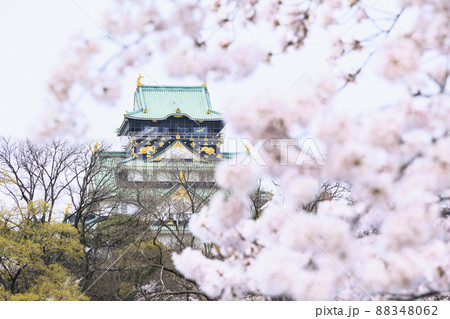 大阪城公園 満開の桜と大阪城 大阪城公園 満開の桜と大阪城 88348062