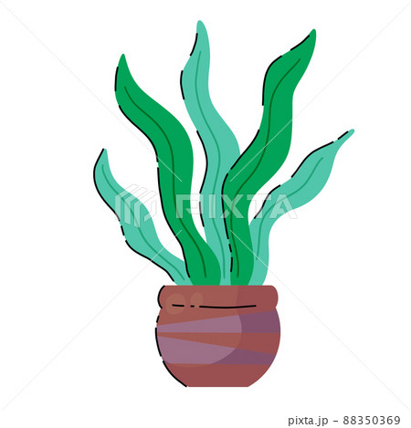 Potted plant. Homemade Green leaves of houseplant. Brown pot and House decoration. Gardening and botany. Potted plant. Homemade Green leaves of houseplant. Brown pot and House decoration. Gardening and botany. 88350369
