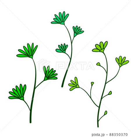 Natural plant. Abstract doodle flower. Sketch green Stem with leaves 88350370