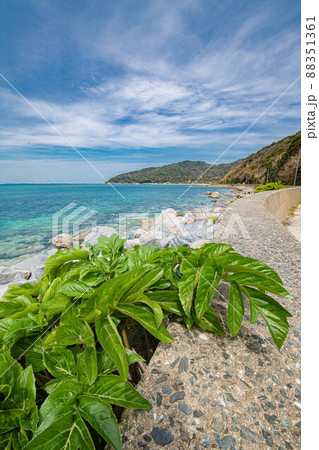 海岸沿いの風景 海岸沿いの風景 88351361