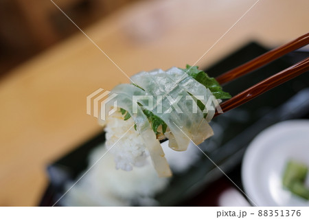 津軽海峡のヤリイカ刺身(青森県風間浦村) 津軽海峡のヤリイカ刺身(青森県風間浦村) 88351376