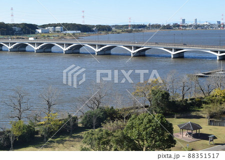 手賀沼 利根川水系 88351517