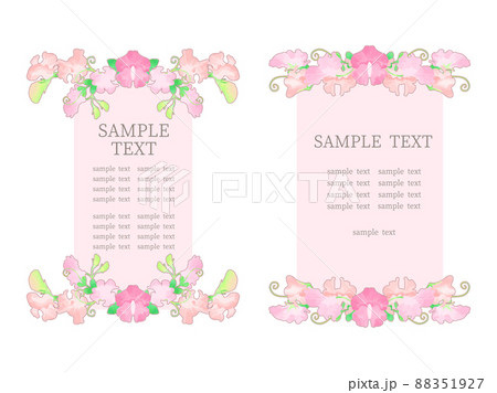 スイートピーのイラストフレーム スイートピーのイラストフレーム 88351927
