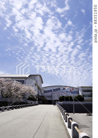 さくら咲く福岡県立三池工業高等学校 88351950