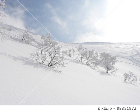 ニセコのパウダースノー 88351972