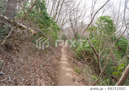 御岩山から高鈴山へ向かう登山道（日立アルプス） 88352002