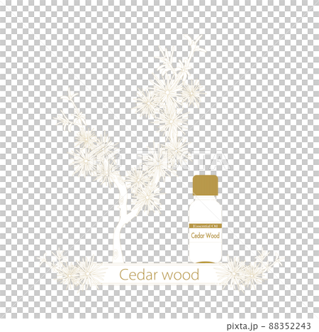 雪鬆線描，精油瓶，雪松精油 88352243