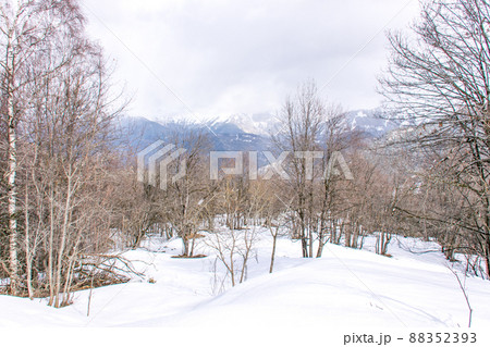 A beautiful white landscape in France 88352393