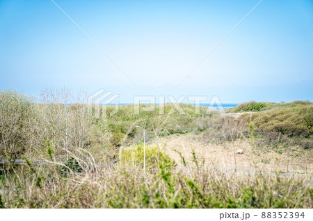 A beautiful view of the dunes and the sea in the Netherlands 88352394