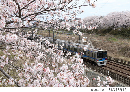 千葉県白井市付近北総線を通る北総鉄道の7500形電車と満開のさくら 千葉県白井市付近北総線を通る北総鉄道の7500形電車と満開のさくら 88353912