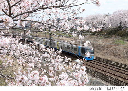 千葉県白井市付近北総線を通る住宅都市整備公団9100形電車C-Flyerシーフライヤーと満開のさくら 千葉県白井市付近北総線を通る住宅都市整備公団9100形電車C-Flyerシーフライヤーと満開のさくら 88354105