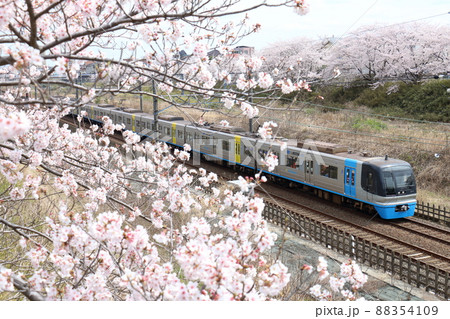千葉県白井市付近北総線を通る住宅都市整備公団9100形電車C-Flyerシーフライヤーと満開のさくら 千葉県白井市付近北総線を通る住宅都市整備公団9100形電車C-Flyerシーフライヤーと満開のさくら 88354109