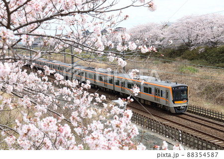 千葉県白井市付近北総線を通る京成電鉄3100形2代電車と満開のさくら 88354587