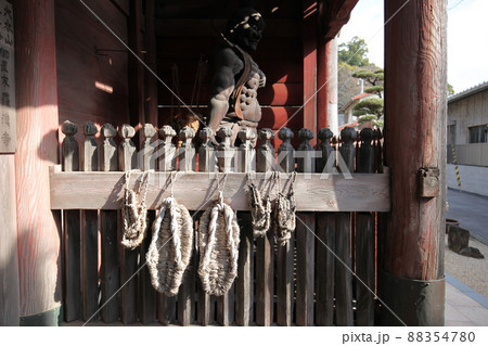 五百羅漢寺 五百羅漢寺 88354780