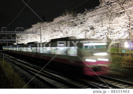 新京成線くぬぎ山駅付近の桜並木ライトアップ　千葉県鎌ケ谷市くぬぎ山 88355403