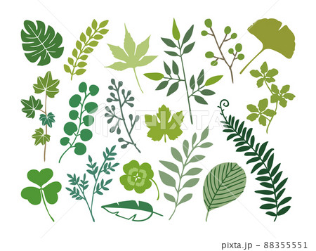色々な葉っぱ 色々な葉っぱ 88355551