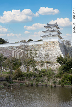 兵庫県明石市・堀ごしに見る明石城の櫓 88355859