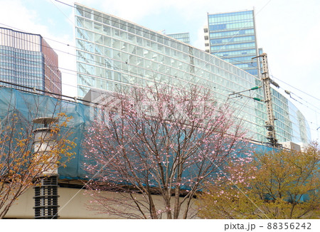 東京国際フォーラムと桜　東京都千代田区丸の内　旧東京都庁跡地 88356242