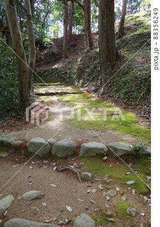 大河内城本丸に続く道 大河内城本丸に続く道 88356249