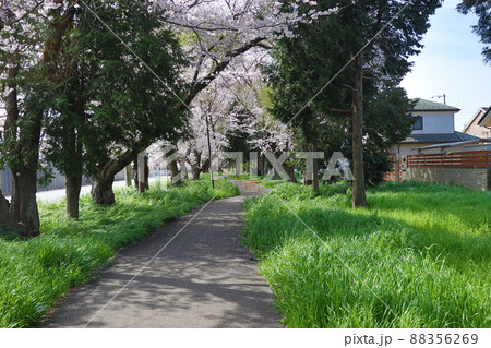 上志津ふれあいどおり 88356269