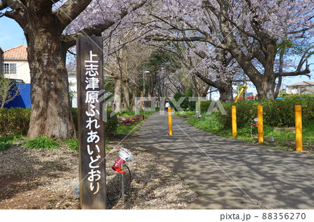 上志津ふれあいどおり 88356270