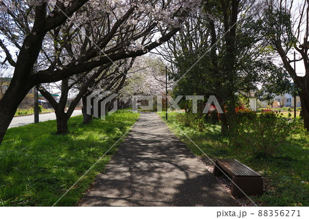 上志津ふれあいどおり 88356271