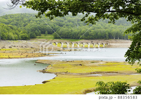 タウシュベツ展望台から見た　タウシュベツ川橋梁 88356583