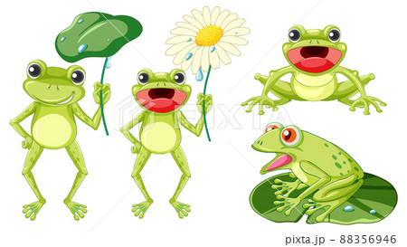 Set of different cute green frog in cartoon style Set of different cute green frog in cartoon style 88356946