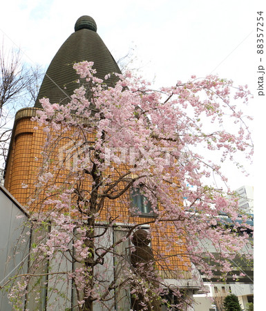 しだれ桜と東京都中央区銀座1丁目交番 しだれ桜と東京都中央区銀座1丁目交番 88357254