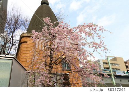 しだれ桜と東京都中央区銀座1丁目交番 しだれ桜と東京都中央区銀座1丁目交番 88357265