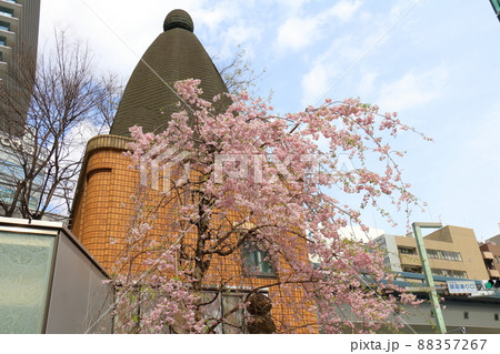 しだれ桜と東京都中央区銀座1丁目交番 しだれ桜と東京都中央区銀座1丁目交番 88357267