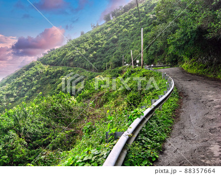 Waipio Valley Road, the steepest road in the USA leading down to Punaluu Black Sand Beach in Hawaii Waipio Valley Road, the steepest road in the USA leading down to Punaluu Black Sand Beach in Hawaii 88357664