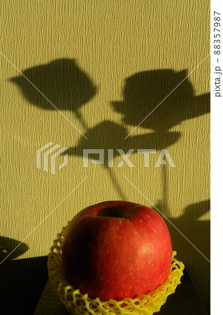 リンゴ りんご 影 88357987