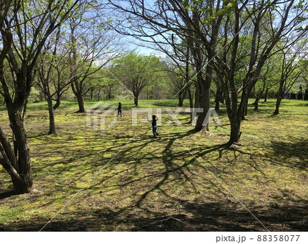 庄内緑地公園で遊ぶ子ども 88358077