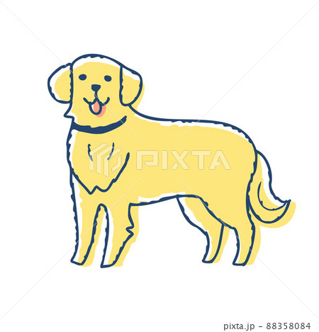 こちらを見ているゴールデンレトリバー こちらを見ているゴールデンレトリバー 88358084