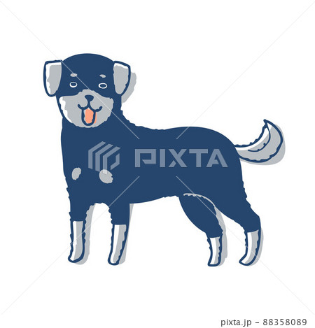 こちらを見ている犬 88358089