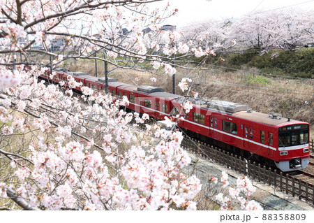 千葉県白井市付近北総線を通る京浜急行電車1500形と満開のさくら 千葉県白井市付近北総線を通る京浜急行電車1500形と満開のさくら 88358809