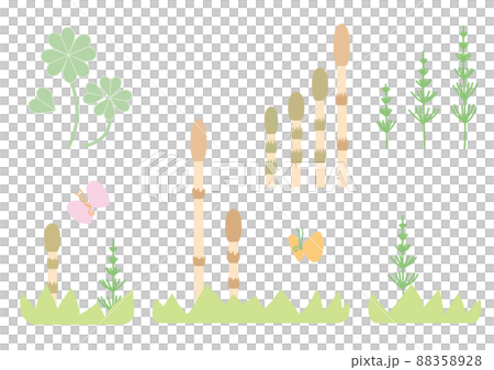 春天的宗教 88358928