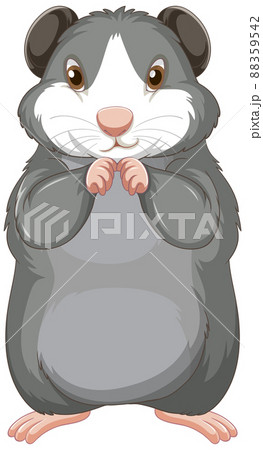 A Cute guinea pig on white background 88359542