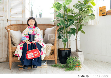 着物を着た女の子 記念写真 ハーフ成人式 七五三 写真館 着物を着た女の子 記念写真 ハーフ成人式 七五三 写真館 88359909