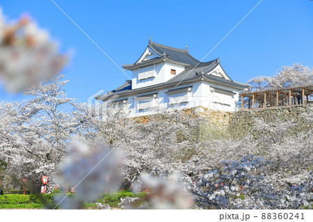 【岡山県】快晴下の津山城の満開桜（備中櫓） 88360241