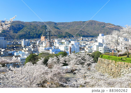 【岡山県】津山城の満開桜と津山市の町並み（鶴山公園） 88360262