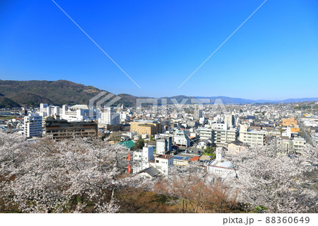 【岡山県】津山城の満開桜と津山市の町並み(鶴山公園) 【岡山県】津山城の満開桜と津山市の町並み(鶴山公園) 88360649