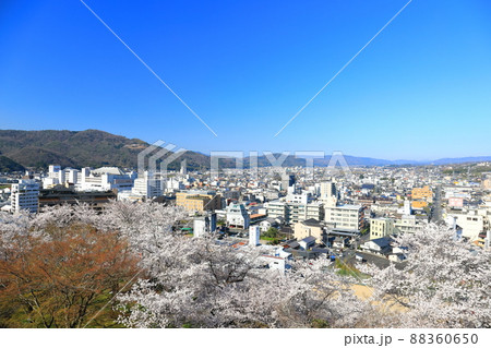 【岡山県】津山城の満開桜と津山市の町並み(鶴山公園) 【岡山県】津山城の満開桜と津山市の町並み(鶴山公園) 88360650