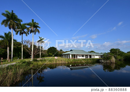Royal Palm Visitor Center and Anhinga Trail in Everglades National Park. Royal Palm Visitor Center and Anhinga Trail in Everglades National Park. 88360888