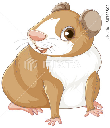 A Cute guinea pig on white background 88362309